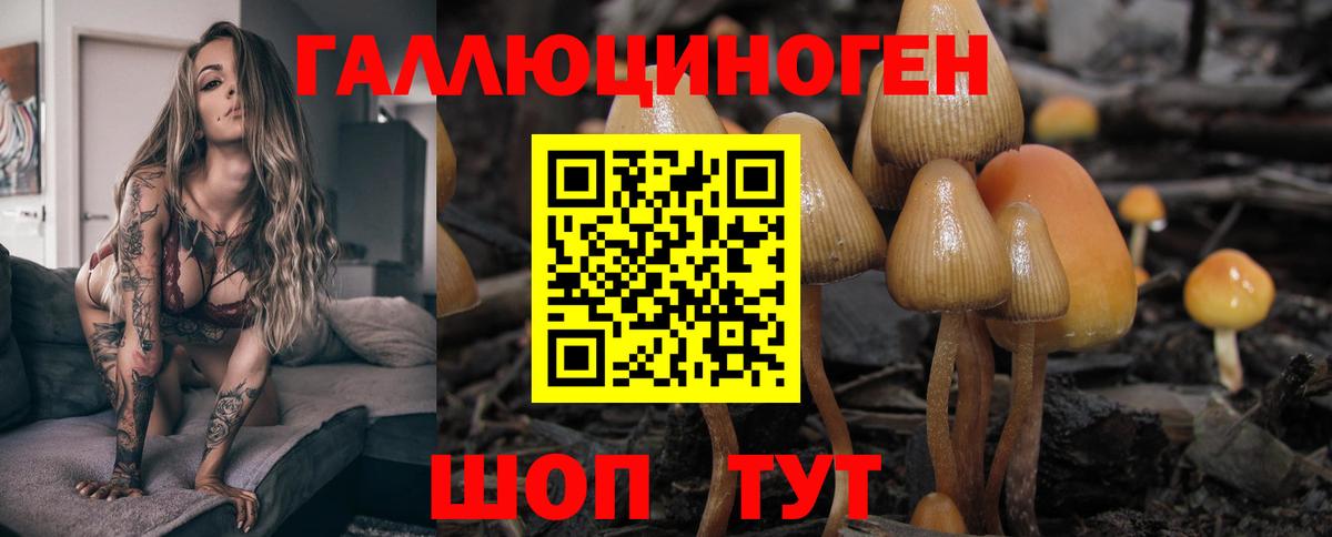 Галлюциногенные грибы прущие грибы Междуреченск