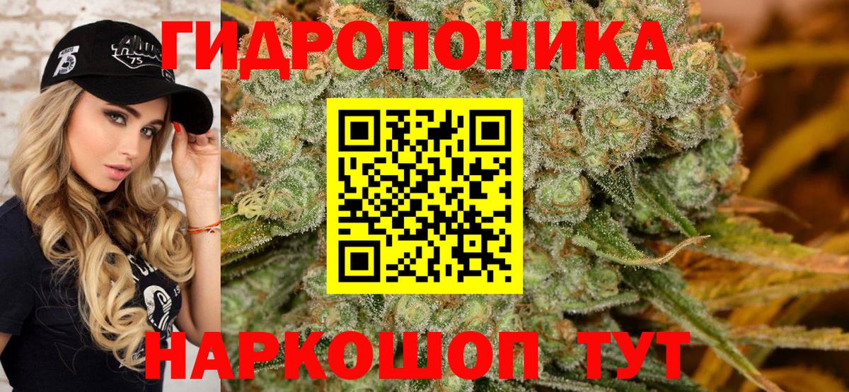 МАРИХУАНА план  Бошки Шишки OG Kush  Междуреченск  Марихуана AK-47  Марихуана тримм  Вход с VPN 
